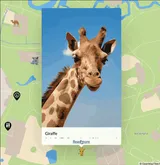 An animated GIF of the MapHub user interface where a cursor clicks the 'Read more' button on a map item, causing the long description to smoothly scroll up and reveal more text. your map items clean while making full stories accessible with a click.