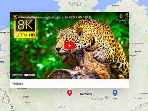 A screenshot of a MapHub map featuring an embedded interactive YouTube video in a popup. The video, with a thumbnail of a leopard, is pinned to a location in Germany, demonstrating the platform's media integration feature. turning any location into a rich media experience on MapHub.
