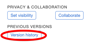 A screenshot of the MapHub interface showing the 'Version history' button, circled in red, located under 'Previous Versions.'